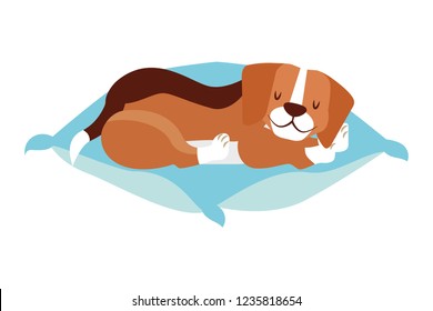 Beagle Dog Sleeping On Cushion