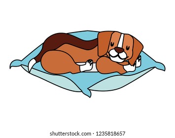 beagle dog sleeping on cushion