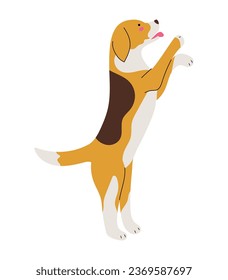 Perro Beagle parado en sus patas traseras, aislada ilustración vectorial con cachorro adorable