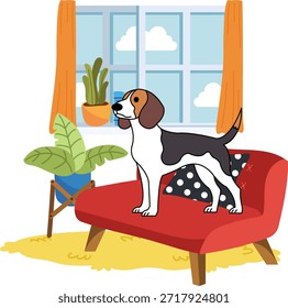 Um cão beagle está de pé em um sofá vermelho em uma sala de estar