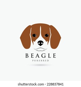 Beagle Dog - Vector Illustration