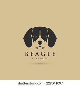 Beagle dog - vector illustration