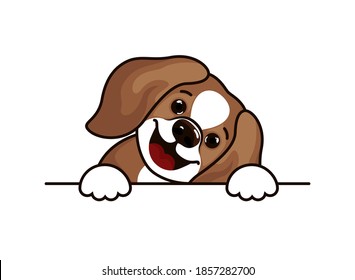 Beagle dog - vector illustration design for t shirts. Cute beagle icon, small hunting dog