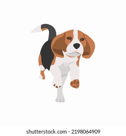 Beagle dog vector illustration design