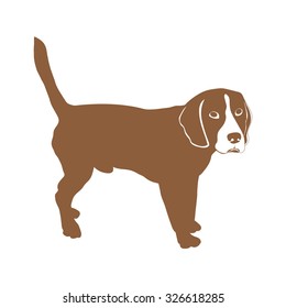 beagle dog, vector silhouette