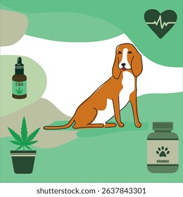 Beagle dog vector with dog vitamins, cannabis plant, cannabidiol (CBD) drops, heart cardiogram symbol on eco green background for natural pet health illustration.