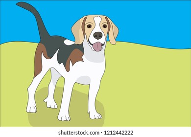 Beagle dog waitig for you.
