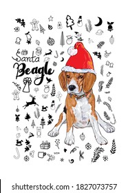 Beagle dog wear Santa's red hat with Santa Beagle lettering and accessory for Christmas on white background. vector illustration.