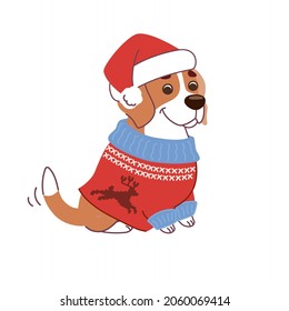 Beagle dog wearing a Christmas sweater and a Santa hat. Vector illustration in flat style on white background.