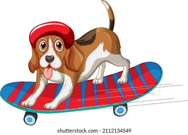 Beagle dog wears helmet standing on skateboard illustration