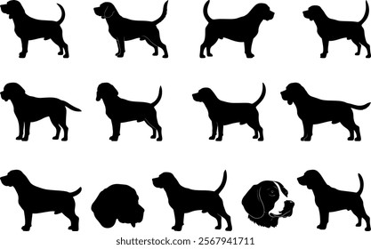 Beagle dogs silhouette on white background