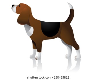 Beagle, EPS 8 vector, grouped for easy editing. No open shapes or paths.