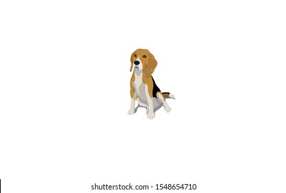 beagle flat vector icon illustration