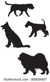 Beagle, German shepherd, Fox Terrier and Samoyed dog breed vector silhouettes