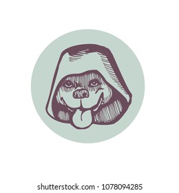 Beagle in a hood. Vector illustration