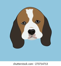Beagle - Illustrations of Dog Face.