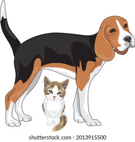The beagle and the kitten are waiting for their owners. Vector