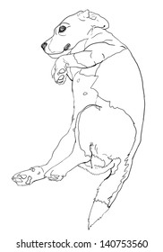 Beagle is laying down in funny pose.