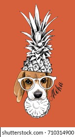 Beagle in a Pineapple crown and in a glasses. Vector illustration.