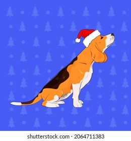 beagle puppy dog wearing santa's hat isolated on a blue christmas background