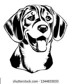 Beagle puppy face vector Illustration