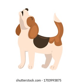 Beagle puppy howls isolate on a white background. Vector graphics.