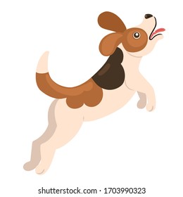 Beagle puppy jumping isolate on a white background. Vector graphics.