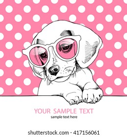 Beagle Puppy Pink Glasses Vector Illustration Stock Vector (Royalty ...