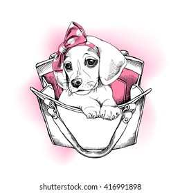 Beagle Puppy with a pink headband in a woman's bag. Vector illustration.