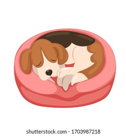 Beagle puppy sleeping in a pink crib isolate on a white background. Vector graphics.