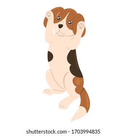 Beagle puppy stands on its hind legs isolate on a white background. Vector graphics.