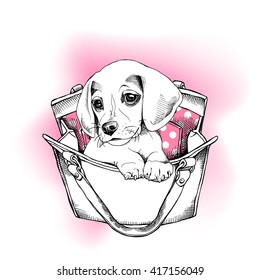 Beagle Puppy in a woman's bag on a pink background. Vector illustration.