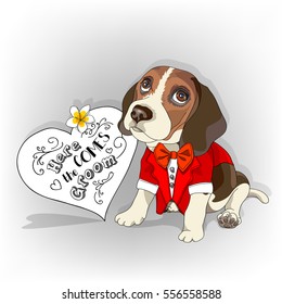 Beagle in a red tuxedo and tie with heart card on a gray background. Vector illustration.