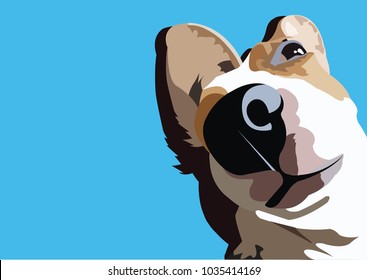 Beagle selfie background