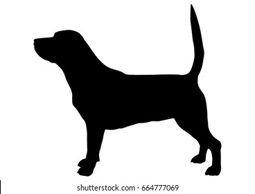 Beagle Silhouette Vector