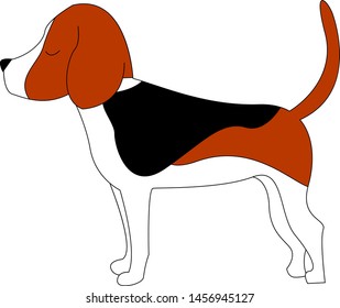 Beagle standing, illustration, vector on white background.