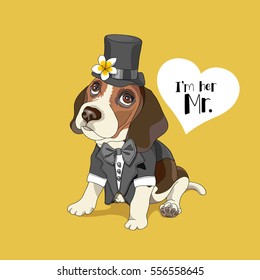 Beagle in a tuxedo, tie and top hat with heart card on a yellow background. Vector illustration.