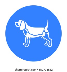 Beagle vector icon in black style for web
