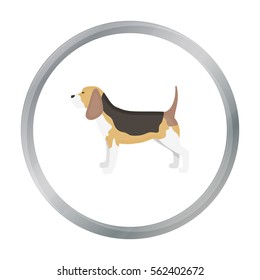 Beagle vector icon in cartoon style for web