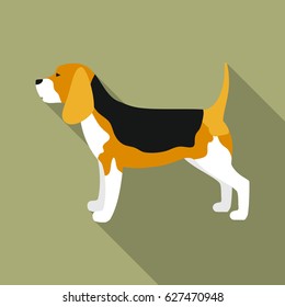 Beagle vector icon in flat style for web