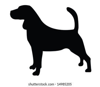 Dog Labrador Retriever Breed On White Stock Vector (Royalty Free ...