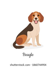 Beagle. Vector illustration of cute spotted brown dog  in flat style. Isolated on white