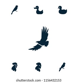 Beak icon. collection of 7 beak filled icons such as rooster, sparrow, duck. editable beak icons for web and mobile.