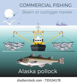 Beam Or Outrigger Trawler. Alaska Pollock. Vector Illustration