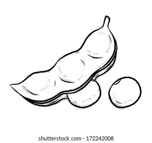 bean / cartoon vector and illustration, black and white, hand drawn, sketch style, isolated on white background.