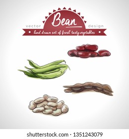 Bean Collection of fresh vegetables with leaf. Vector illustration. Isolated	