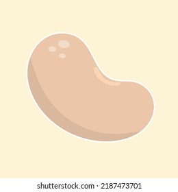 Bean in flat style. Cute cartoon bean. Vector illustration concept
