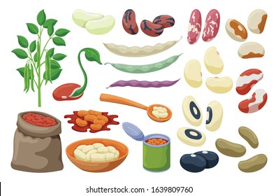Bean of food vector illustration on white background .Isolated cartoon set icon soybean.Vector cartoon set icon bean of food.