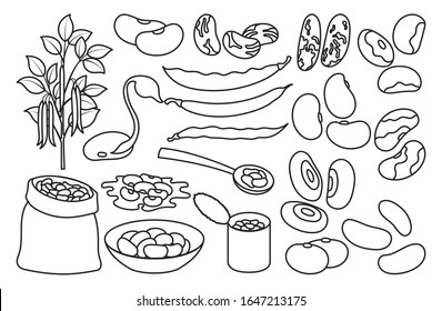 Bean of food vector illustration on white background .Isolated outline set icon soybean.Vector outline set icon bean of food.