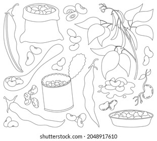 Bean of food vector illustration on white background .Isolated outline set icon soybean.Vector outline set icon bean of food.